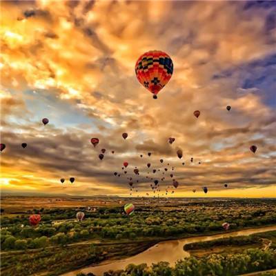 加拿大pc软件平台手机app下载截图